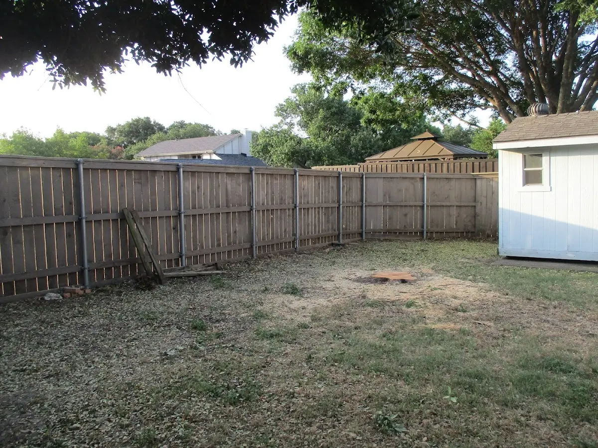 Cleared yard after professional tree removal in Kings Bay